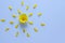 Creative summer layout in shape of sun made with from fresh yellow Daisy on a white background.