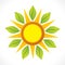 Creative sun and green leaf icon design concept