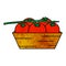 A creative textured cartoon doodle of a box of tomatoes