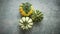 Creative Top view flat lay autumn composition. Small colorful pumpkins on stone background