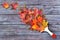 Creative Top view flat lay autumn concept composition