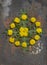 Creative top view  spring ornament from dandelion and green leaves   in minimal style on rustic iron background