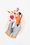 Creative trend collage of hands hold telephone screen announcement loudspeaker heart paper plane message social media