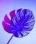 Creative tropic purple leaves layout. Supernatural concept. Flat lay. Ultra violet colors