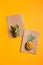 Creative tropical greeting cards with pineapple and its crown