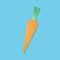 Creative vector illustration carrot