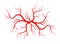 Creative vector illustration of red veins isolated on background. Human vessel, health arteries, Art design. Abstract