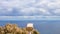 Creative view of lookout binoculars standing on Cape Point.