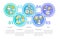 Creator economy stakeholders blue circle infographic template