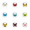 Creatures butterflies icons set, flat style