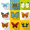 Creatures butterflies icons set, flat style