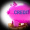 Credit Piggy Bank Coins Means Financing From Creditors