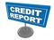 Credit report