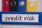 Credit risk on blue business binder