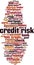 Credit risk word cloud