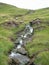 A creek accompanied by purple heather running down green Hills at Glenshee Valley, Grampian Mountains, Scotland