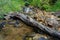 A creek at Alger Falls in Munising Michigan upper peninsula