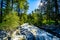 Creek along the Heffley-Louis Creek Road in British C