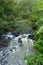 A creek along the road to hana maui hawaii