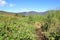 Creek in The Arfak Mountains, Papua