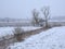 Creek and bare trees in the frozen winter marsh in the Flemish countryside