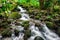 Creek cascade long exposure shot in rainforest of Oahu island