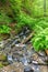 A creek with a cascading waterfall in the forest in spring or summer. Mountains in the spring. Green fern Pteridium aquilinum or