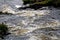 Creek, Connemara National Park, Ireland