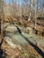 Creek Crossing at Cascades Preserve