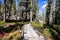 Creek crossing in the John Muir wilderness