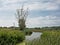 Creek and dead tree with birds nests in the marsh in the Flemish countryside