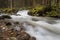 Creek in the Dolomites