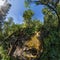 Creek in the fairy forest wide-angle panorama polar distortion