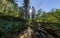 Creek in the fairy forest wide-angle panorama polar distortion