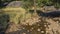 The creek flows through a rocky streambed in the jungle