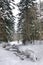 A creek flows through a snowy forest