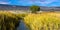 A creek flows through wetland plants and mountains in Browns Park NWR in Colorado