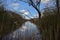 Creek in the forest with eflection of blue sky and white fluffy clouds