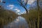 Creek in the forest with eflection of blue sky and white fluffy clouds