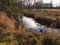 Creek in a forest: A small creek runs through the woods on a late autumn day