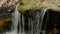 Creek in the forest, water faling wawn from big boulder half covered with moss