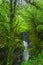 Creek in Gachedili canyon, Georgia, wild place