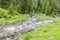 Creek in the Goeriachtal in Lungau, Austria