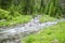 Creek in the Goeriachtal in Lungau, Austria