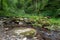 Creek Gue la Warche in the Belgium Eifel and Ardennes near Ovifat in the Liege Province