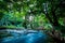 Creek of klong lan water fall national park thailand