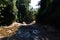 A creek of Klong Yai Kee waterfalls Koh Kood tropical forest dry season