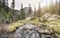 Creek leading to the bear lake in the Rocky Mountain National Park