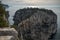 The Creek of Marseille , Calanque of En Vau , french