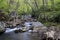 Creek in the Mountains of Southwest Virginia